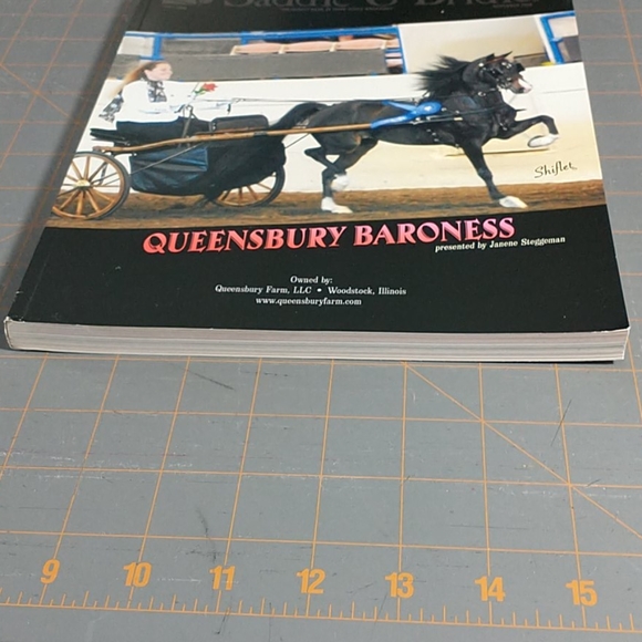 Saddle & Bridle magazine - Picture 4 of 9